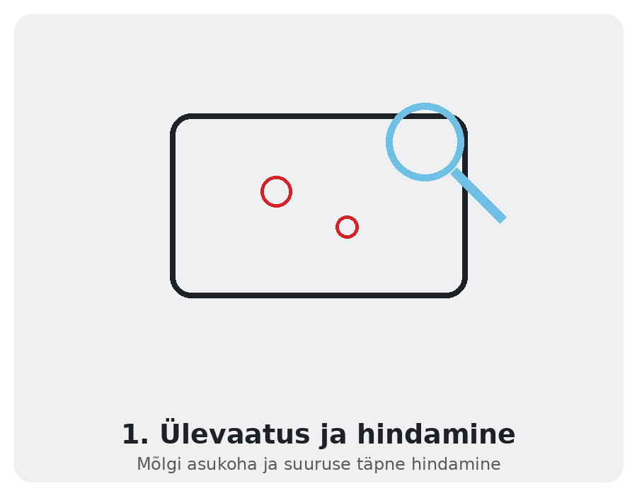 Mõlgieemaldus – ülevaatus ja hindamine